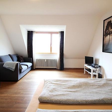 Zentrale Stadtwohnung - Direkt Am Main, Park-Ausblick Wurzburgo Exterior foto