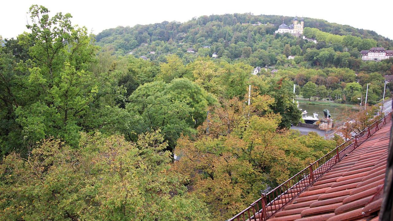 Zentrale Stadtwohnung - Direkt Am Main, Park-Ausblick Wurzburgo Exterior foto